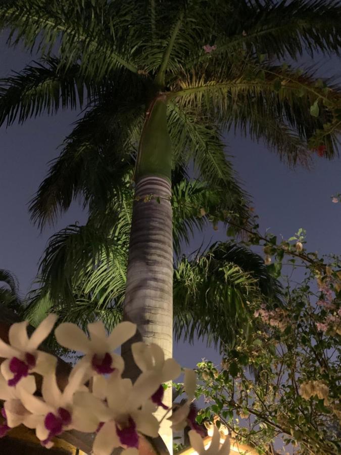 Villa Lulu Maison Armacao dos Buzios Экстерьер фото